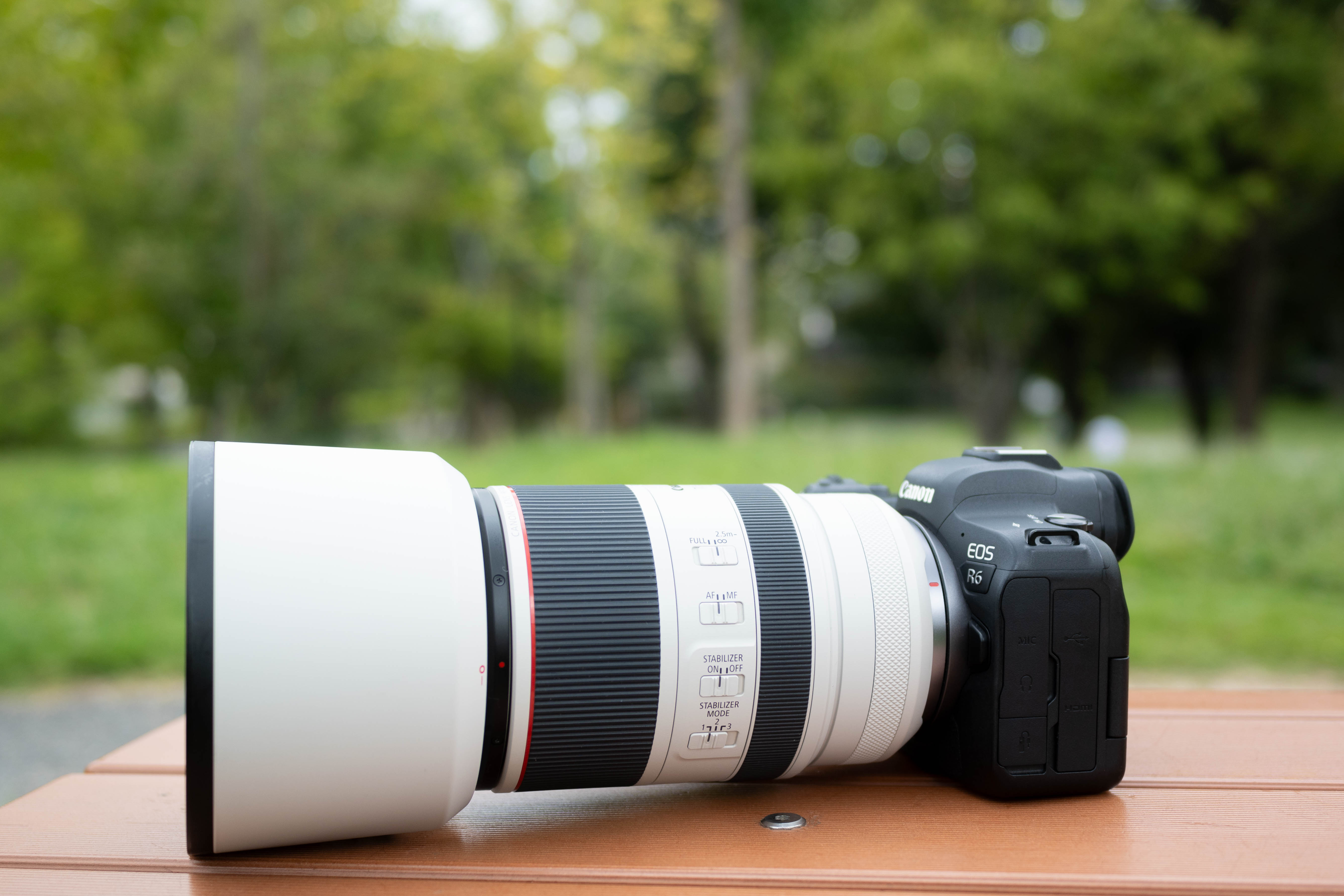 Canon RF70-200mm F2.8 L IS USM: 遠くの美しさを引き寄せて